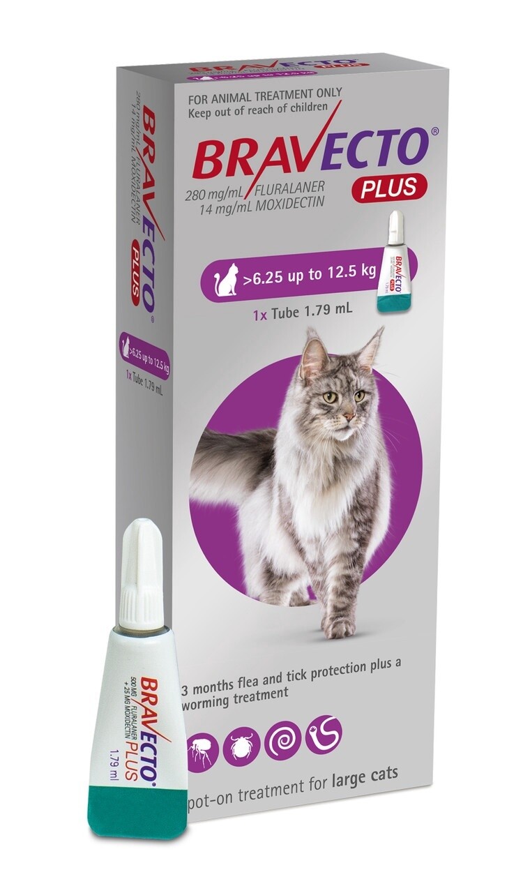 Bravecto Plus Large Cat 6.25 to 12.5kg