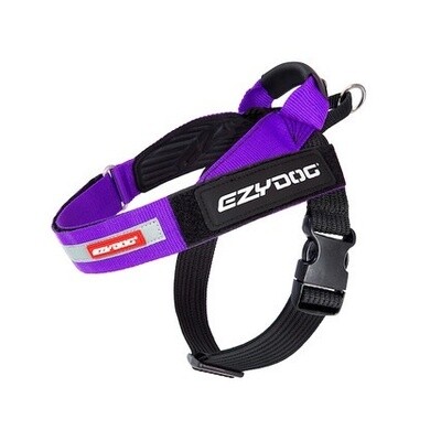 EzyDog Express Harness L Purple