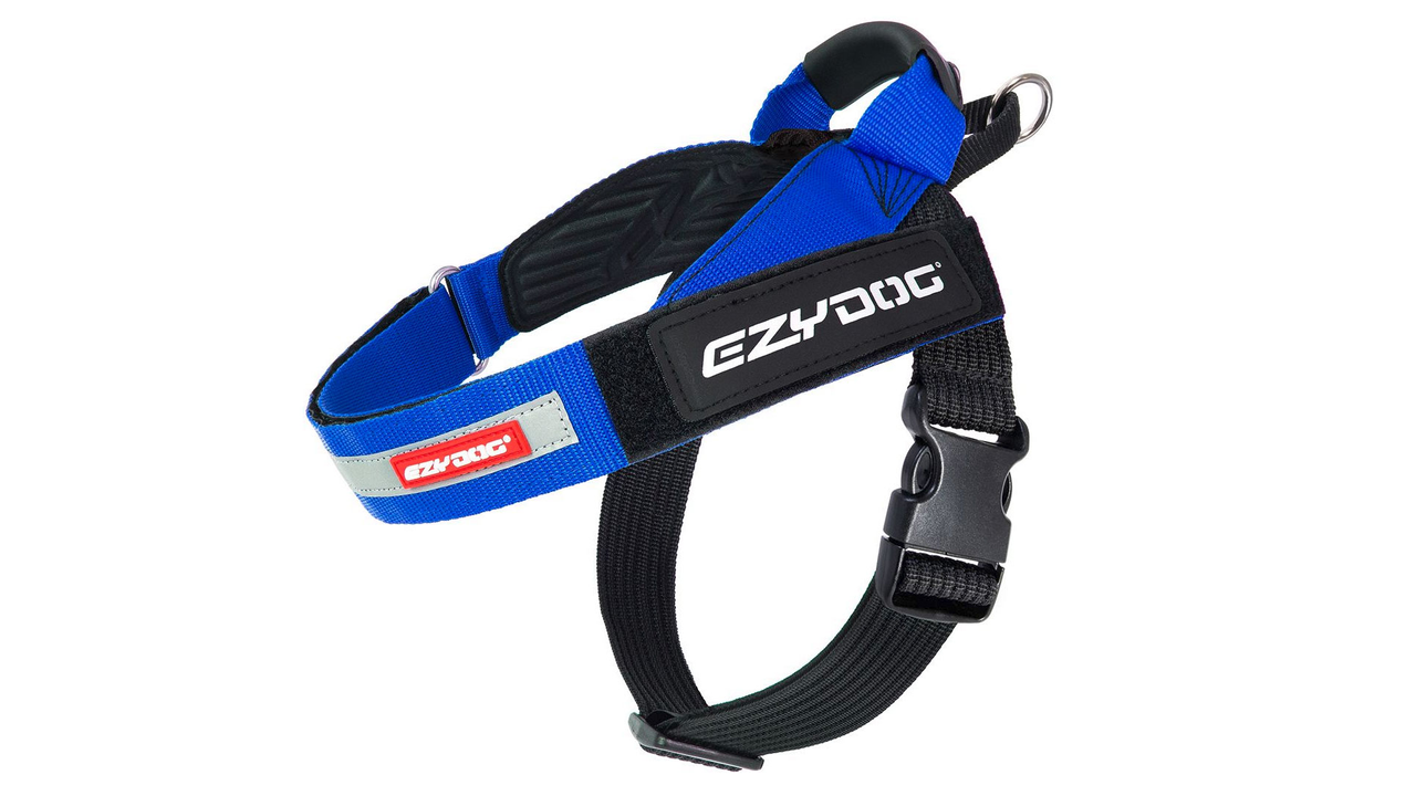Express Harness - Blue L