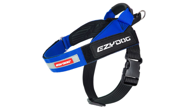 Express Harness - Blue L