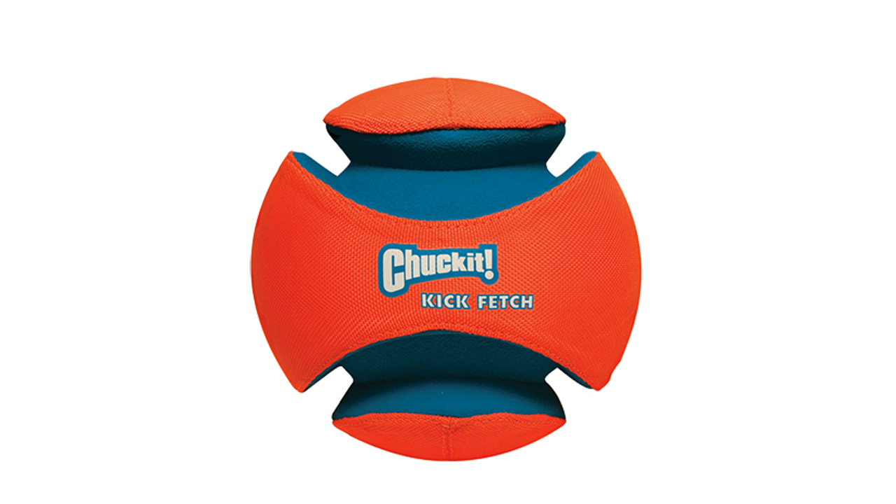 Kick Fetch Ball Lge 19cm