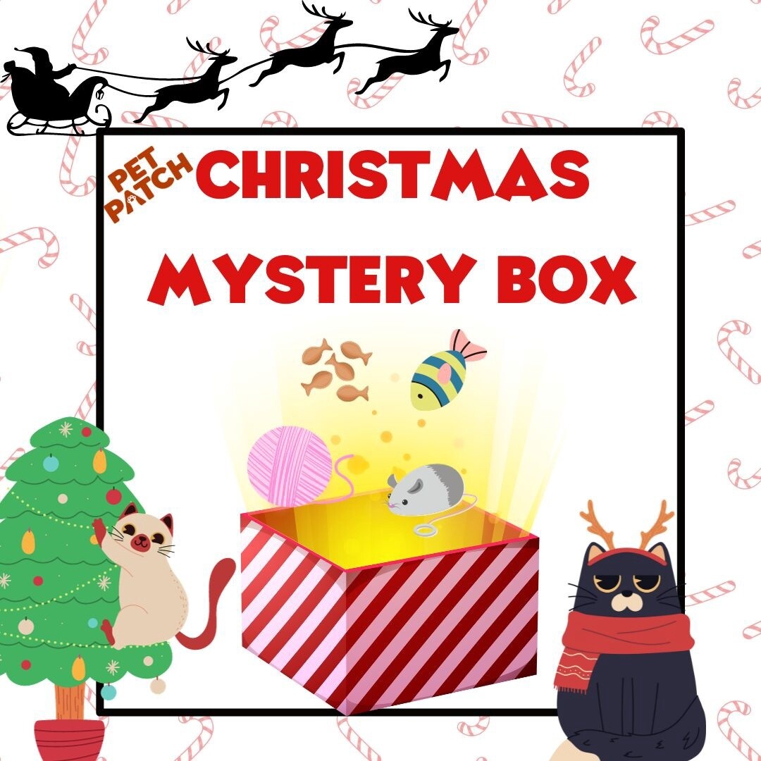 Christmas Mystery Box - Cat