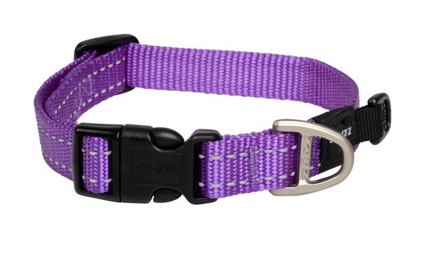 Rogz Classic Collar Purple L