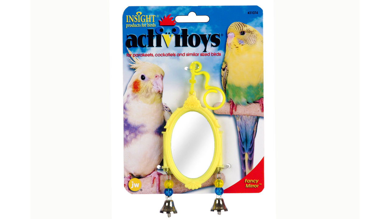 ActiviToy Fancy Mirror