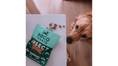 Beco Dog Treats Insect 70g
