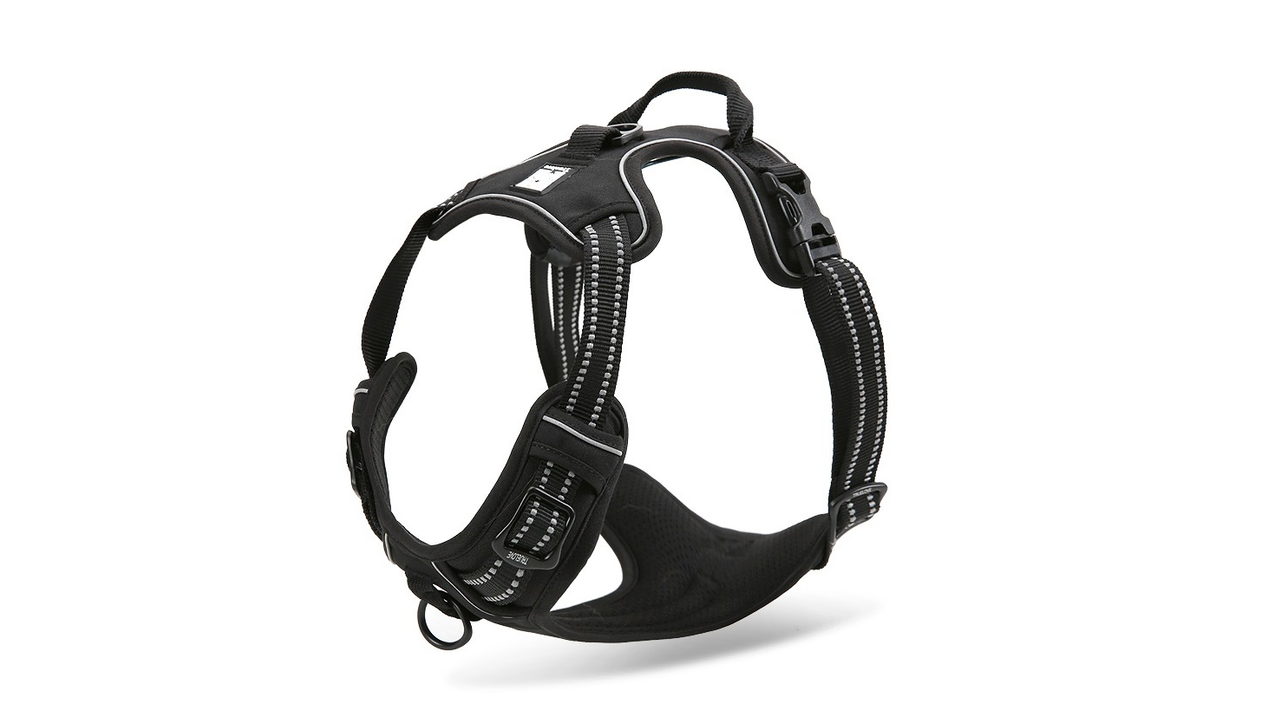 Deluxe Mesh Harness Black L