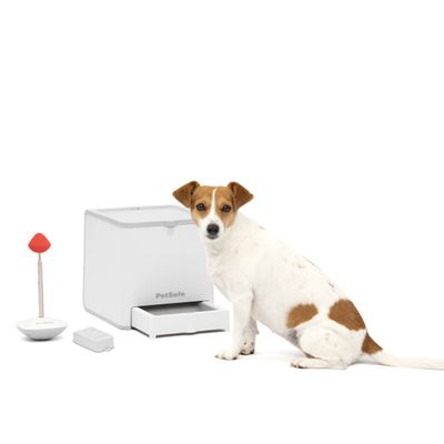 Petsafe Teach &amp; Treat Remote Reward Trainer