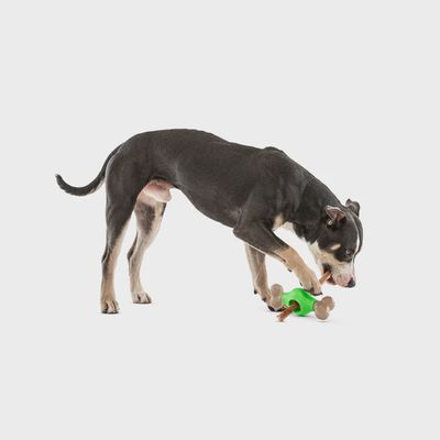 Adjust-A-Chew