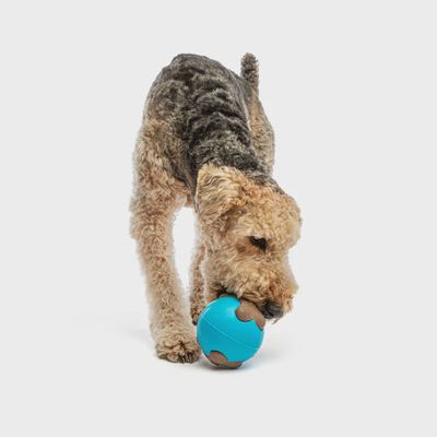 Busy Ball