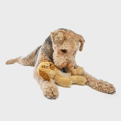 Guru Soft Scents Dog - Vanilla