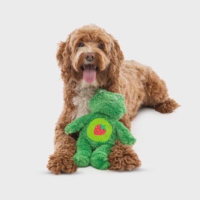 Guru Soft Scents Frog - Strawberry