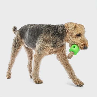 Spin &amp; Treat Large Bone21x8x8cm