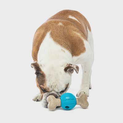 Spin &amp; Chew Treat Bone Med 18x7.5x7cm