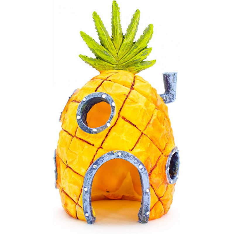 Pineapple house