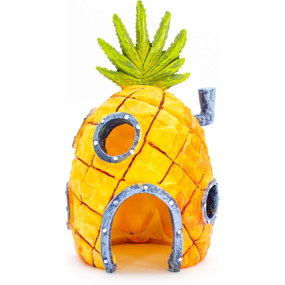 Pineapple house
