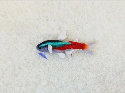 Neon Tetra Plush