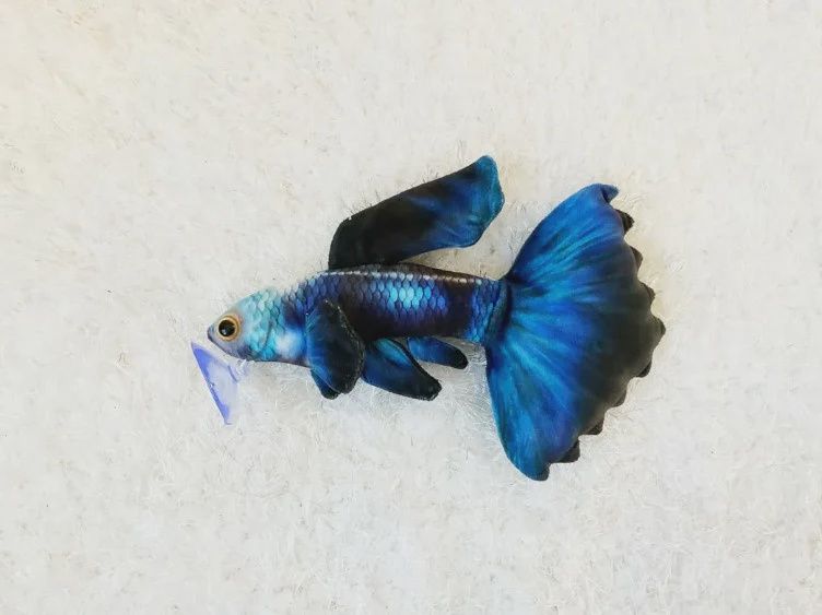 Electric Guppy