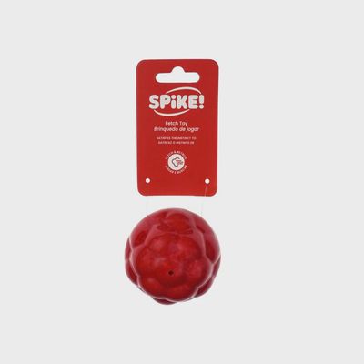 Spike Ball Blob Dog Toy