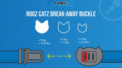Rogz Kiddycat Safeloc Cat Collar - Lime Paws 11mm