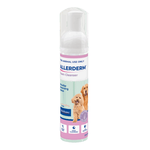 Allerderm Foam Cleanser 200ml