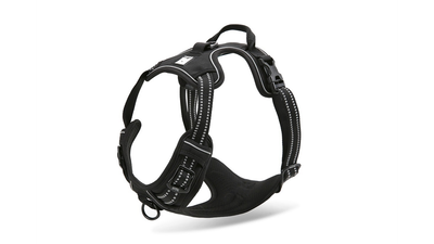 Deluxe Mesh Harness Black L