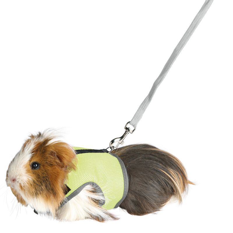 Soft Harness - Guinea Pig