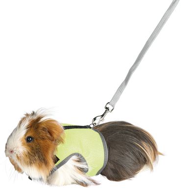 Soft Harness - Guinea Pig