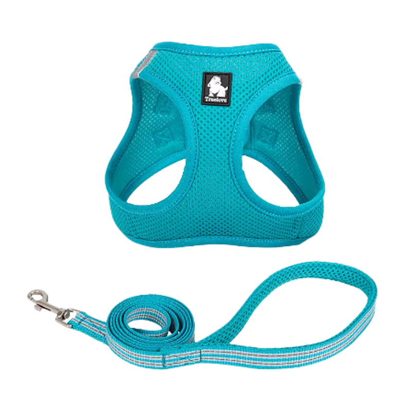 Turelove Mesh Harness and Lead Set - Teal Blue