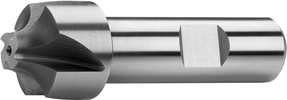 ZPS-FN 16x60mm rādiusa ieliekta frēze, 4Z, HSS CO8, ar Weldon stiprinājumu, art. 360018.050