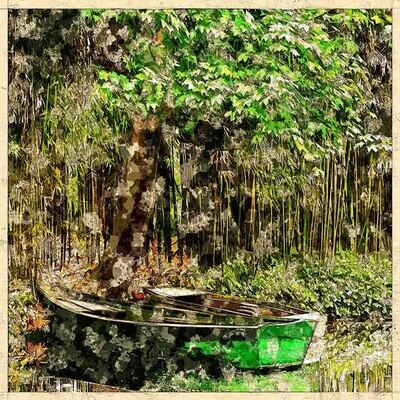 Boat with Bamboo forest