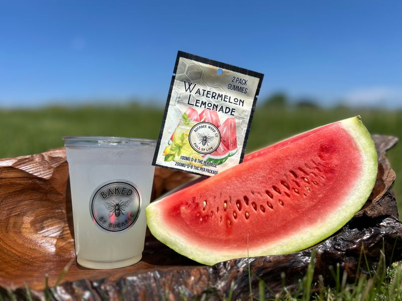 2 Pack Watermelon Lemonade Gummies - 100mg THC
