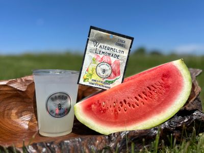 2 Pack Watermelon Lemonade Gummies - 100mg THC