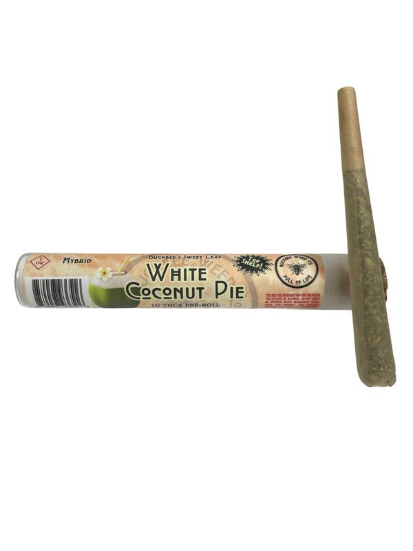 White Coconut Pie