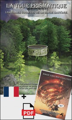 La Tour Prismatique PDF: Aventure, Module Magie Sauvage + contenu bonus