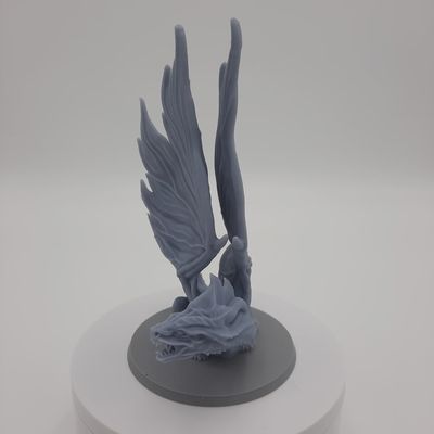 Dragon in attack