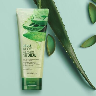 Aloe Fresh Soothing Foam Cleanser
