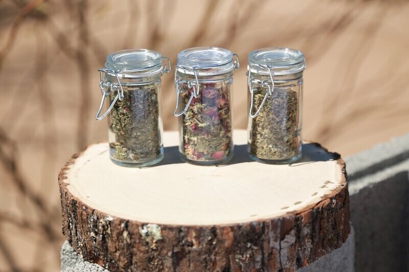 Rooted Tea Sampler