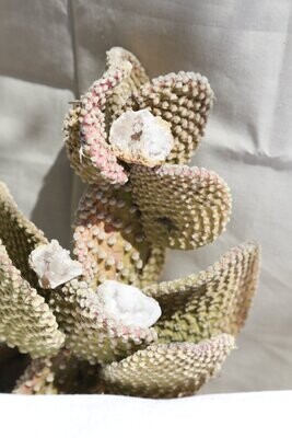Moroccan Geode