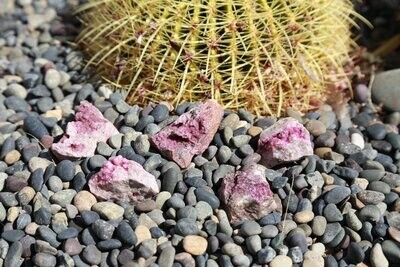 Pink Cobalt