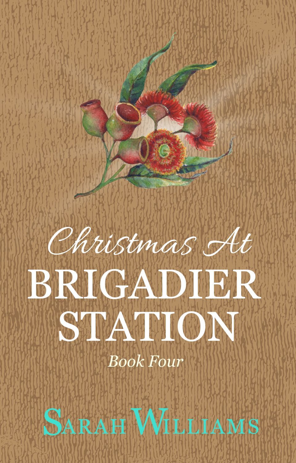 Christmas at Brigadier Station