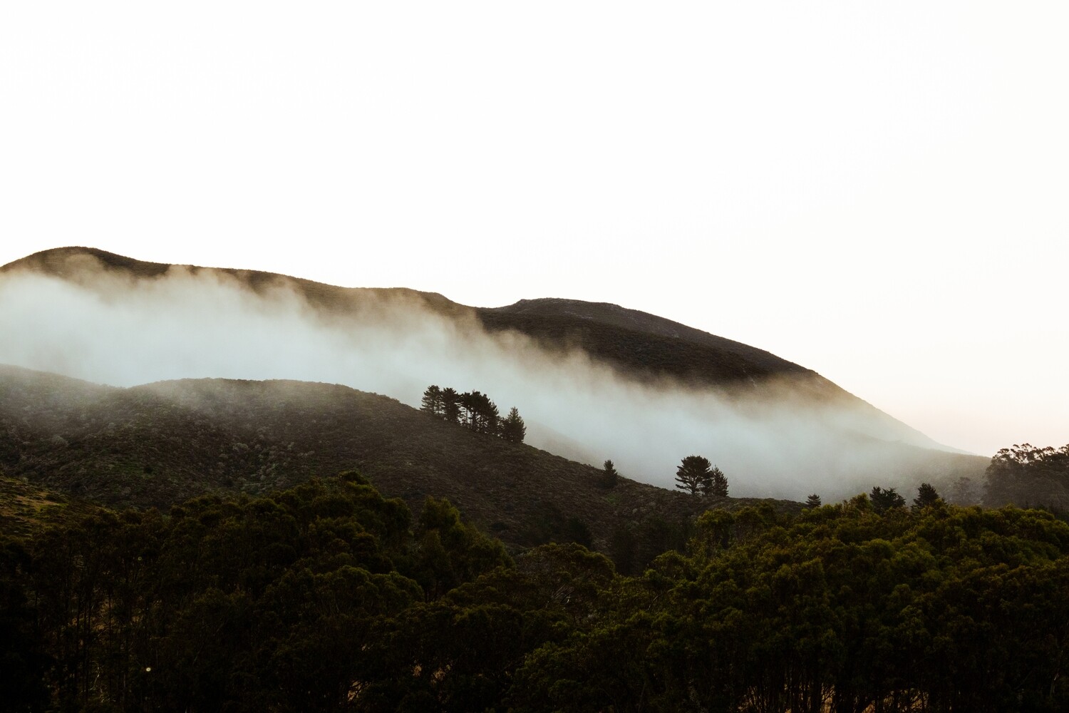California Landscapes, July 2021
