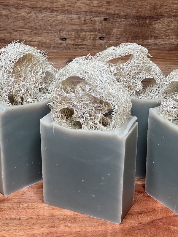 SOAP Aloe Loofah