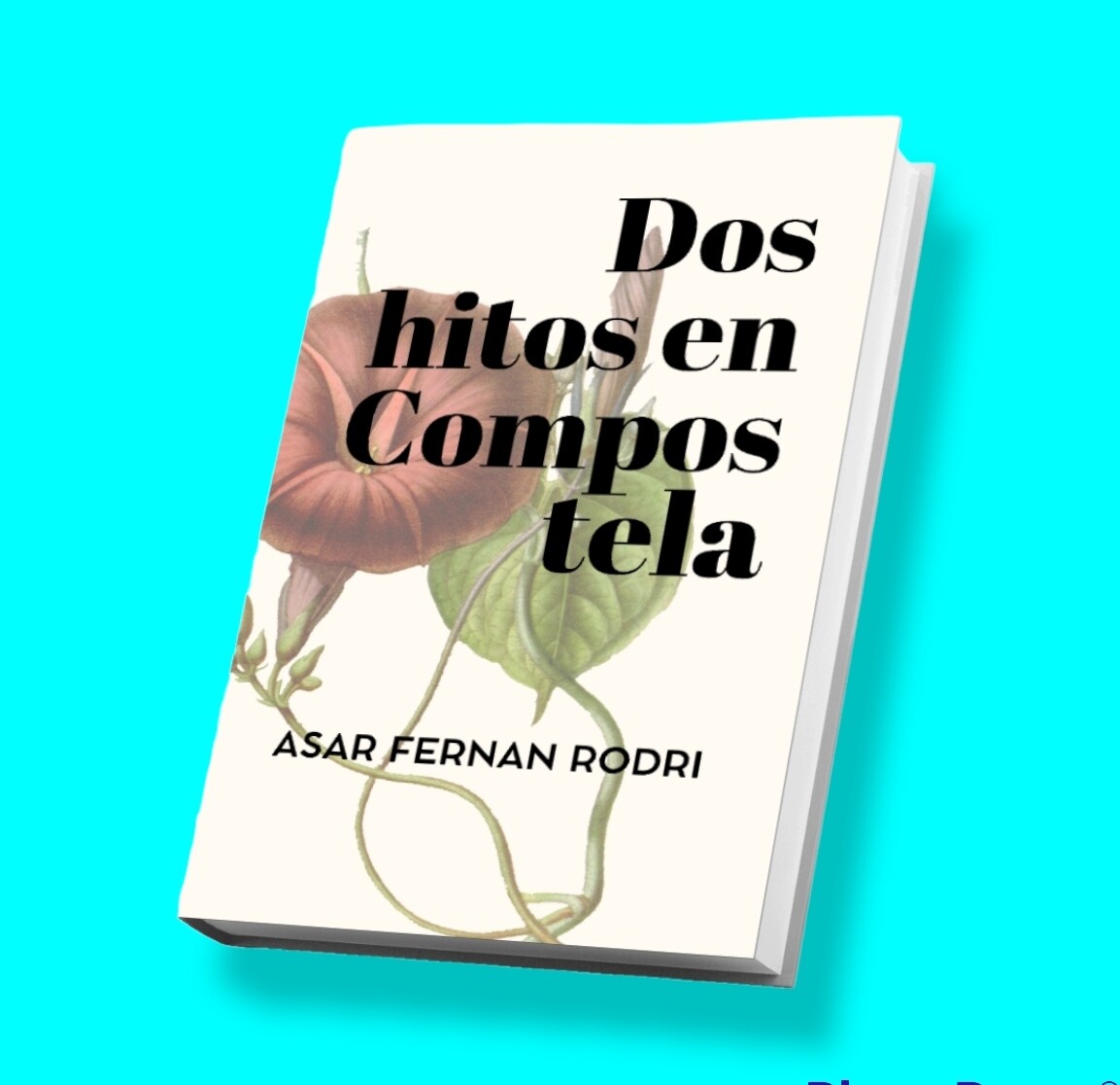 Dos hitos en Compostela 
 (Ensayo literario en formato PDF de 52 páginas)