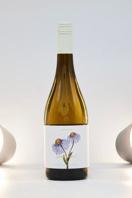 Sonnenhut Cuvé Blanc Sonnenhut Cuvé Blanc