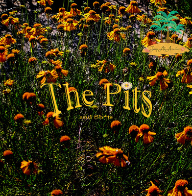 The Pits