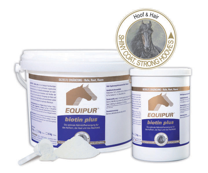 EQUIPUR-Biotin Plus