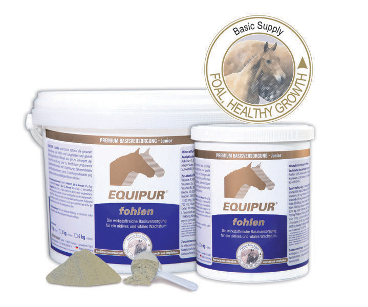 EQUIPUR-Fohlen EQUIPUR-Fohlen
