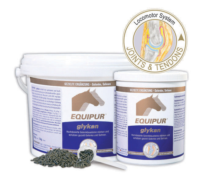 EQUIPUR-Glykan EQUIPUR-Glykan