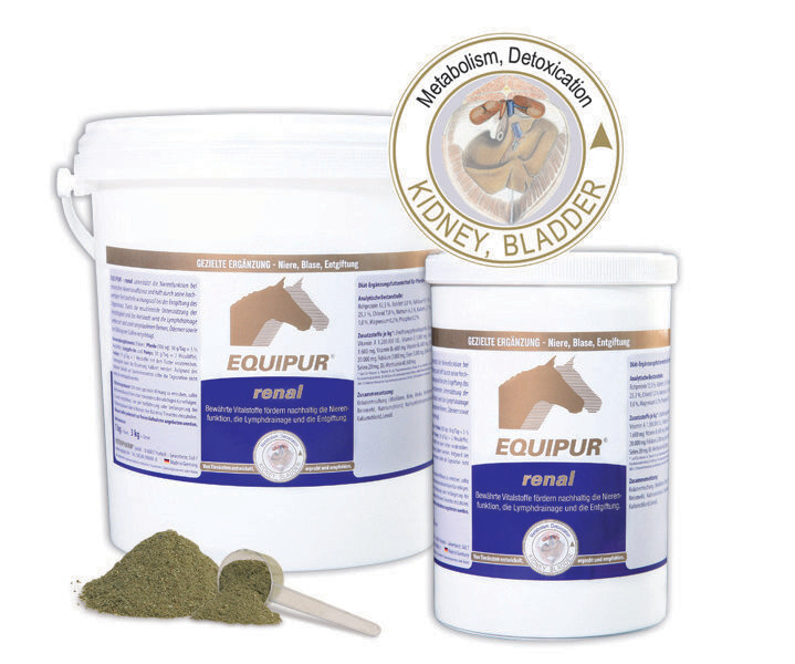 EQUIPUR-Renal EQUIPUR-Renal