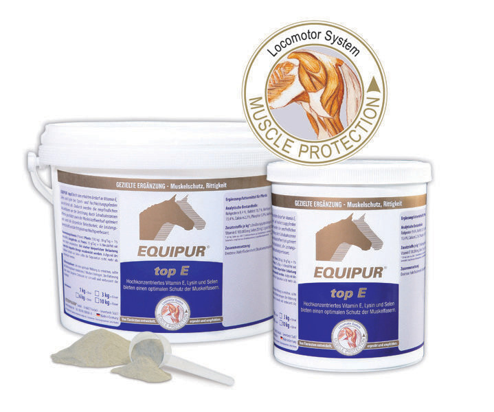 EQUIPUR-Top E EQUIPUR-Top E
